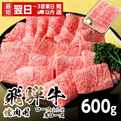 飛騨牛 ロースまたは肩ロース 焼肉用 600g BBQ 焼肉 養老ミート