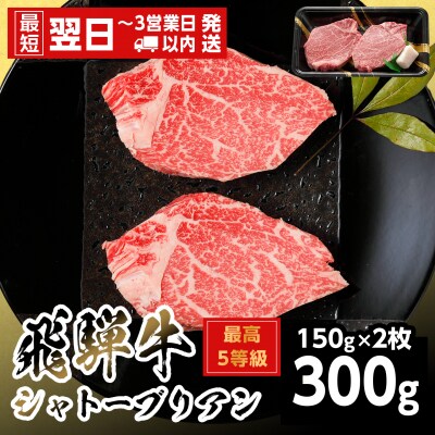 飛騨牛 最高5等級 シャトーブリアンステーキ 300g 150g×2枚 ステーキ 養老ミート