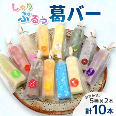 和菓子工房 葛バー くずバー 溶けないアイス くずアイス 5種 計10本 松栄堂