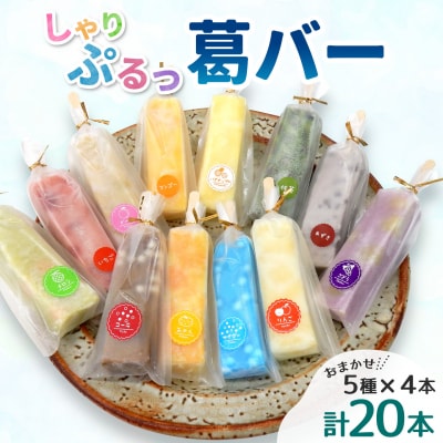 和菓子工房 葛バー くずバー 溶けないアイス くずアイス 5種 計20本 松栄堂