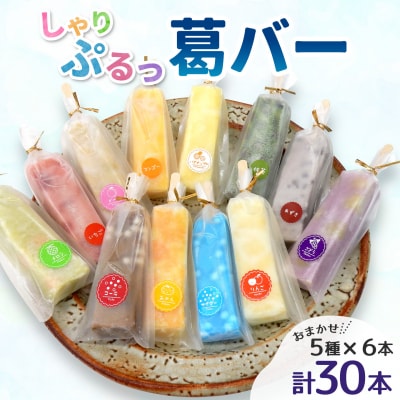 和菓子工房 葛バー くずバー 溶けないアイス くずアイス 5種 計30本 松栄堂