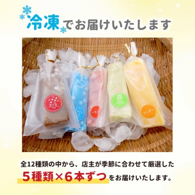 和菓子工房 葛バー くずバー 溶けないアイス くずアイス 5種 計30本 松栄堂