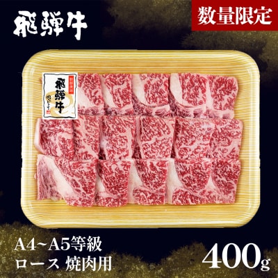 【5営業日以内発送】 数量限定 飛騨牛 A4~A5等級 飛騨牛 ロース 焼肉用 400g