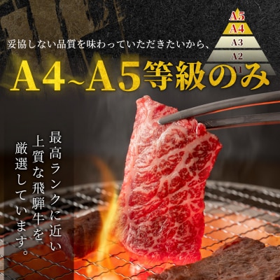 【5営業日以内発送】 数量限定 飛騨牛 A4~A5等級 飛騨牛 ロース 焼肉用 400g