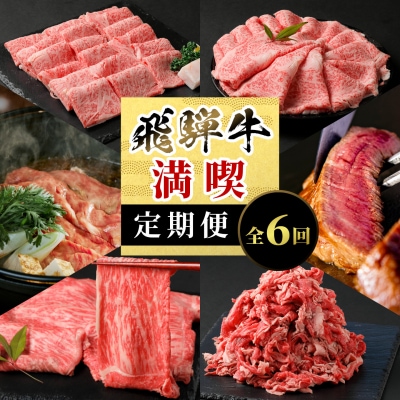 飛騨牛 満喫定期便 全6回 計3.46kg すき焼き しゃぶしゃぶ ステーキ 焼肉 養老ミート