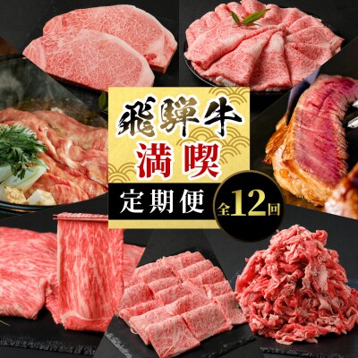 飛騨牛 満喫定期便 全12回 計8.68kg すき焼き しゃぶしゃぶ ステーキ 焼肉 養老ミート