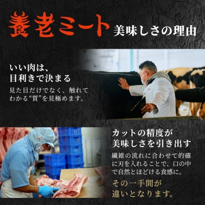 5等級 シャトーブリアン入り 飛騨牛 定期便 全6回 計2.46kg すき焼き ステーキ 養老ミート