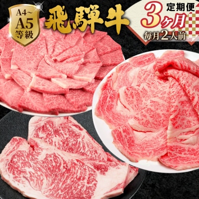 全3回 飛騨牛 2人前 定期便 計1.1kg すき焼き しゃぶしゃぶ ステーキ 焼肉 肉のひぐち