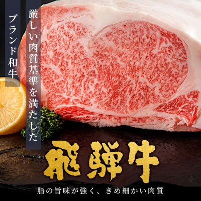 全3回 飛騨牛 2人前 定期便 計1.1kg すき焼き しゃぶしゃぶ ステーキ 焼肉 肉のひぐち