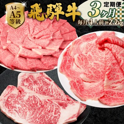 全3回 飛騨牛 4人前 定期便 計2.2kg すき焼き しゃぶしゃぶ ステーキ 焼肉 肉のひぐち
