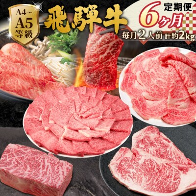 全6回 飛騨牛 2人前 定期便 計2.06kg すき焼き しゃぶしゃぶ ステーキ 焼肉 肉のひぐち