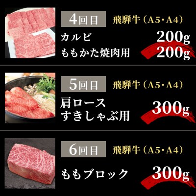 全6回 飛騨牛 2人前 定期便 計2.06kg すき焼き しゃぶしゃぶ ステーキ 焼肉 肉のひぐち