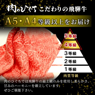 全6回 飛騨牛 2人前 定期便 計2.06kg すき焼き しゃぶしゃぶ ステーキ 焼肉 肉のひぐち