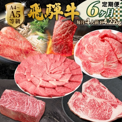 全6回 飛騨牛 4人前 定期便 計4.22kg すき焼き しゃぶしゃぶ ステーキ 焼肉 肉のひぐち