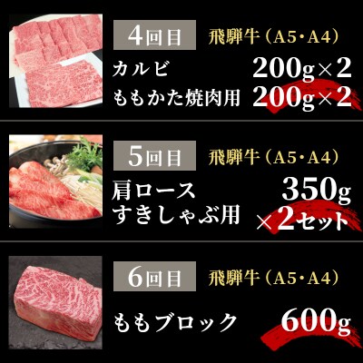 全6回 飛騨牛 4人前 定期便 計4.22kg すき焼き しゃぶしゃぶ ステーキ 焼肉 肉のひぐち