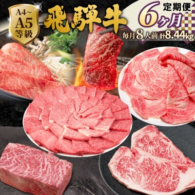 全6回 飛騨牛 8人前 定期便 計8.44kg すき焼き しゃぶしゃぶ ステーキ 焼肉 肉のひぐち