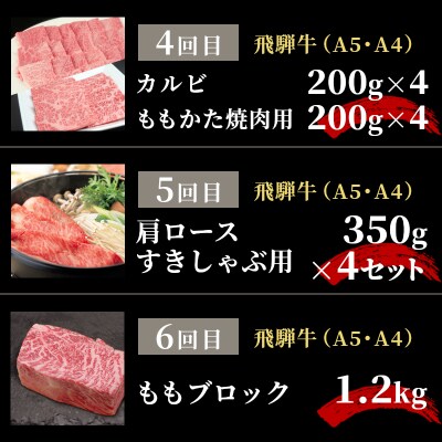 全6回 飛騨牛 8人前 定期便 計8.44kg すき焼き しゃぶしゃぶ ステーキ 焼肉 肉のひぐち