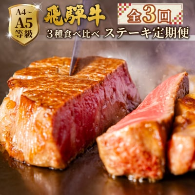 飛騨牛 A4~A5等級 ステーキ定期便 全3回 計1.49kg ステーキソース付き 肉のひぐち