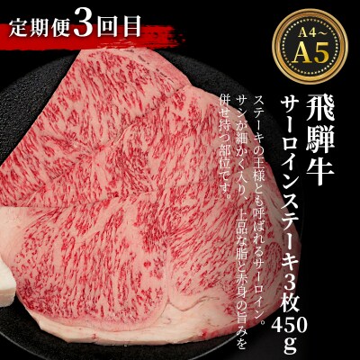 飛騨牛 A4~A5等級 ステーキ定期便 全3回 計1.49kg ステーキソース付き 肉のひぐち