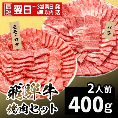 飛騨牛 焼肉セット 2人前 400g 牛肉 和牛 肉 焼肉 BBQ 赤身 霜降り 養老ミート