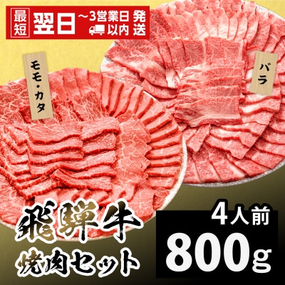 飛騨牛 焼肉セット 4人前 800g 牛肉 和牛 肉 焼肉 BBQ 赤身 霜降り 養老ミート
