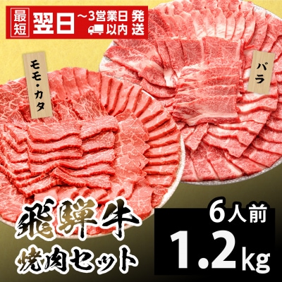 飛騨牛 焼肉セット 6人前 1.2kg 牛肉 和牛 肉 焼肉 BBQ 赤身 霜降り 養老ミート
