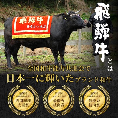 飛騨牛 焼肉セット 6人前 1.2kg 牛肉 和牛 肉 焼肉 BBQ 赤身 霜降り 養老ミート