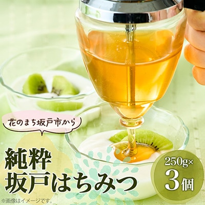 純粋坂戸はちみつ750g(250g×3個)