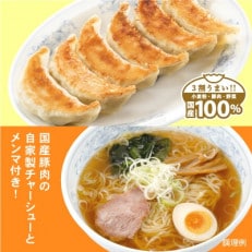 【2024年2月上旬発送】冷凍生餃子とラーメン10人前セット ぎょうざの満洲