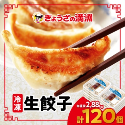 冷凍生餃子10パック(120個)　ぎょうざの満洲