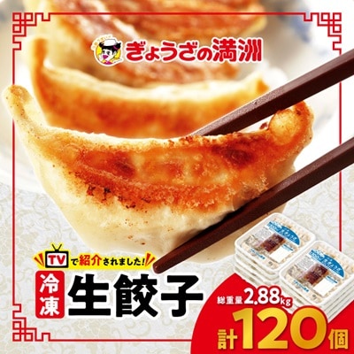 冷凍生餃子10パック(120個)　ぎょうざの満洲
