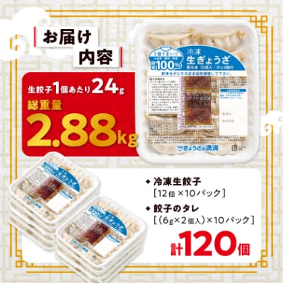 冷凍生餃子10パック(120個)　ぎょうざの満洲