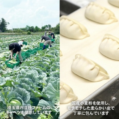業務用冷凍生餃子3袋(180個)　ぎょうざの満洲