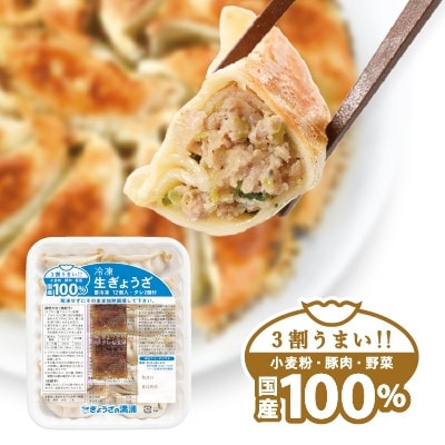 【2025年5月下旬発送】【ぎょうざの満洲】定番餃子&天然えび入餃子　食べ比べ2種(72個)