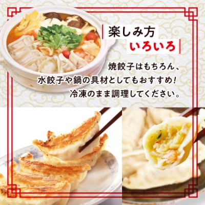 【2ヵ月毎定期便】「ぎょうざの満洲」生餃子&食べ比べ2種&ラーメンセット全3回