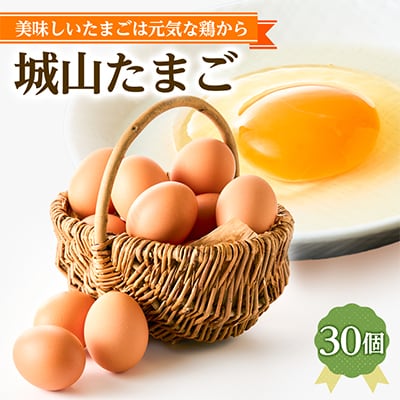 【武藤養鶏場】城山たまご 30個「美味しいたまごは元気な鶏から」