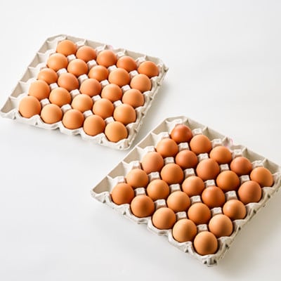 【武藤養鶏場】城山たまご50個(10個×5箱)「美味しいたまごは元気な鶏から」
