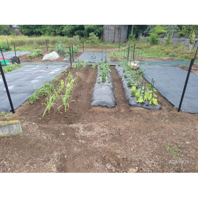 (埼玉県坂戸市の市民農園)べじ食ぶる三芳野1年間利用券
