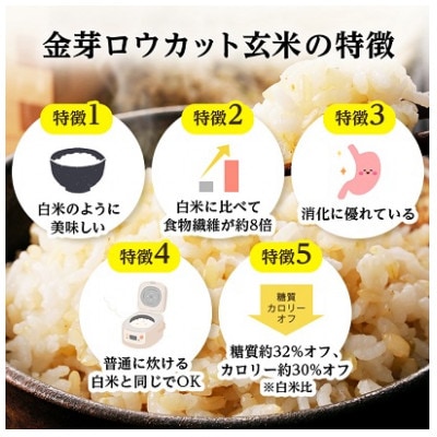 金芽ロウカット玄米(無洗米)4kg×1袋(国内産)