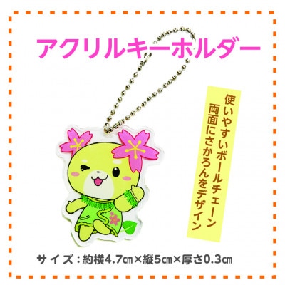 坂戸市イメージキャラクターさかろんグッズセット