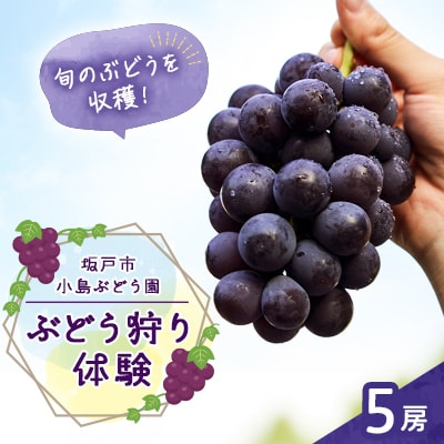 坂戸市小島ぶどう園でのぶどう狩り