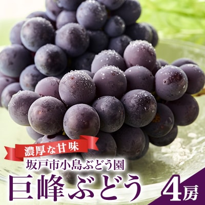 坂戸市小島ぶどう園産の巨峰ぶどう 4房