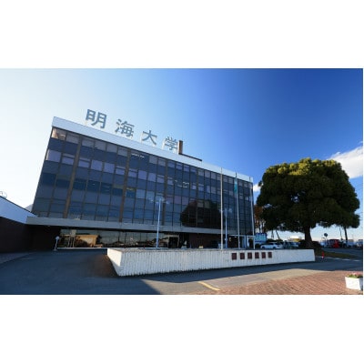 ���C��w�a�@�@���Ȉ�ȘA�g�l�ԃh�b�N�yB�R�[�X(1��)���H�t�z