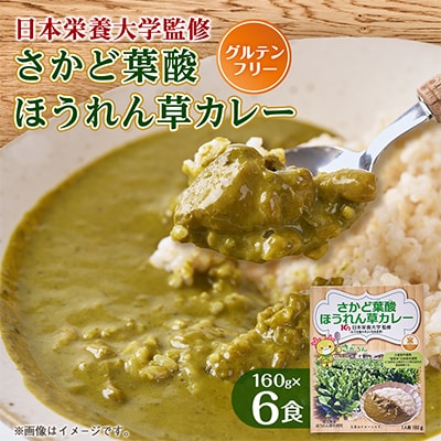 さかど葉酸ほうれん草カレー 160g×6