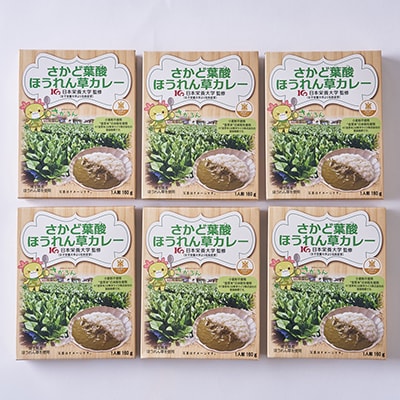 さかど葉酸ほうれん草カレー 160g×6