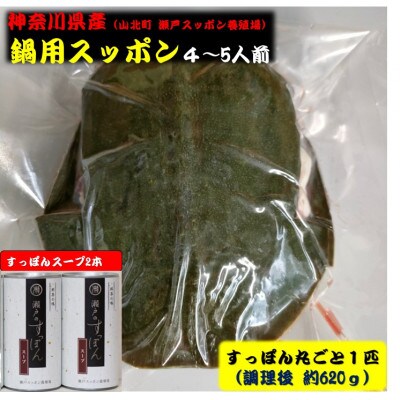 【2025年7月上旬発送】神奈川産すっぽん鍋丸ごと1匹(620g)&スープ2本(各180g)セット