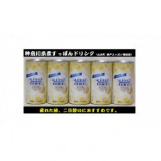 神奈川産すっぽんドリンク　180g×5缶 | ふるさと納税のお礼品