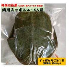 神奈川県産鍋用すっぽん丸ごと1匹(約620g)