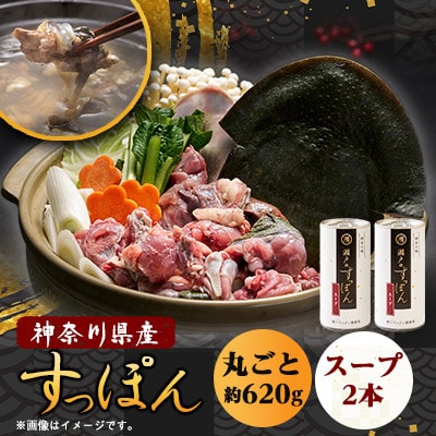 【のし付き】神奈川産すっぽん鍋丸ごと1匹(620g)&濃厚すっぽんスープ2本(各180g)セット