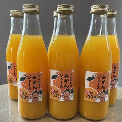 かながわブランド大津みかん　きんたろうみかんジュース　720g×6本